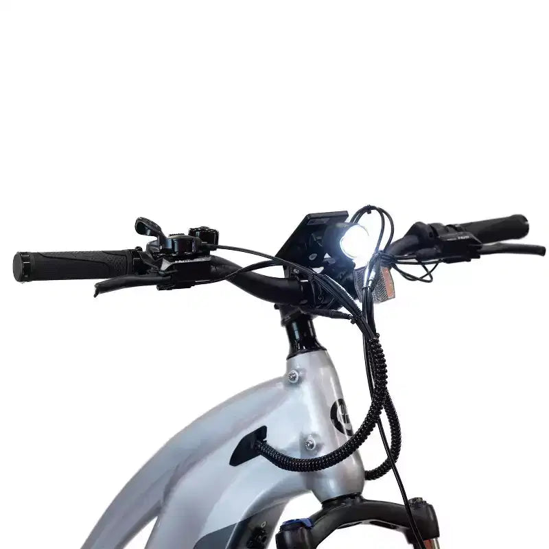 Vélo hybride électrique GOTRAX Fat Tire 26" à enjambement bas pour adulte - Argent